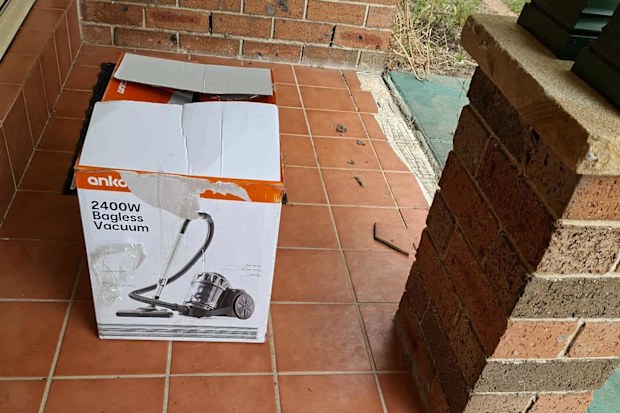 cat rescue five kittens dumped at front door of hills cat rescue