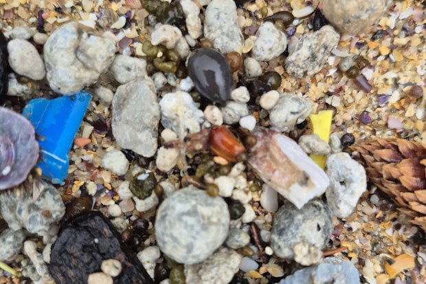 More sewage debris balls have washed up on Sydney beaches near a waste treatment facility after a weekend of heavy rain.