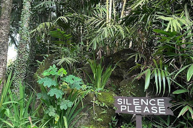 sami lukis wellness retreat review