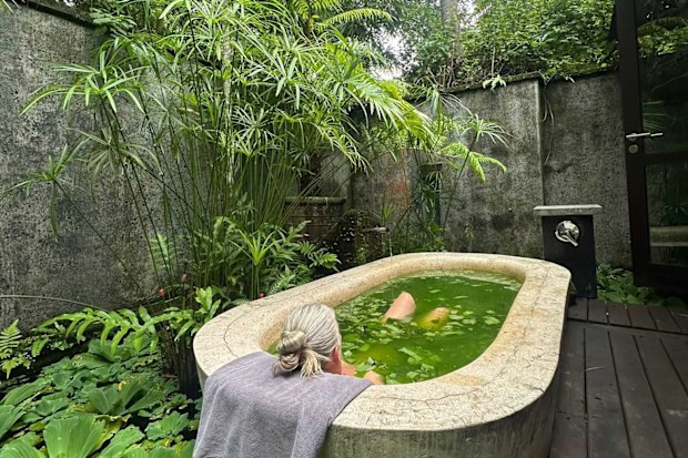 sami lukis wellness retreat review