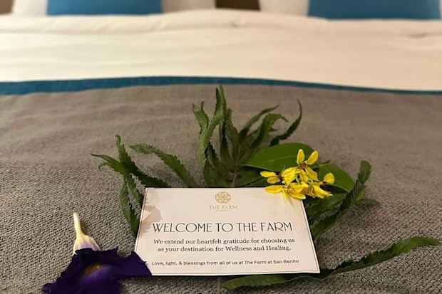 sami lukis wellness retreat review