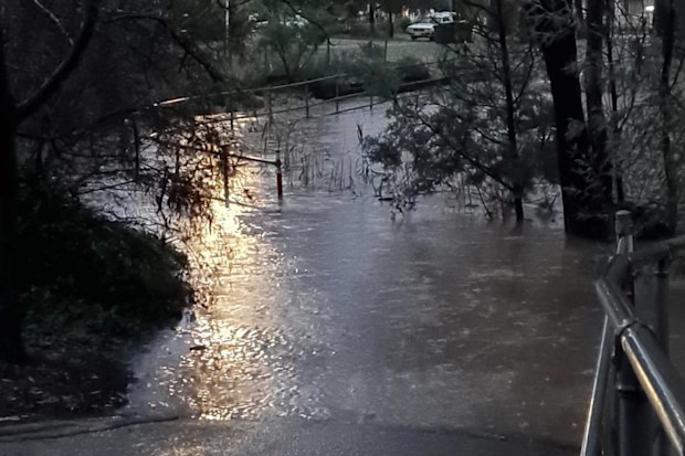 VIC Storms