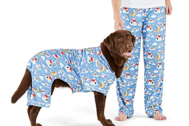 'Dreamer Dogs' pyjamas from Petbarn.