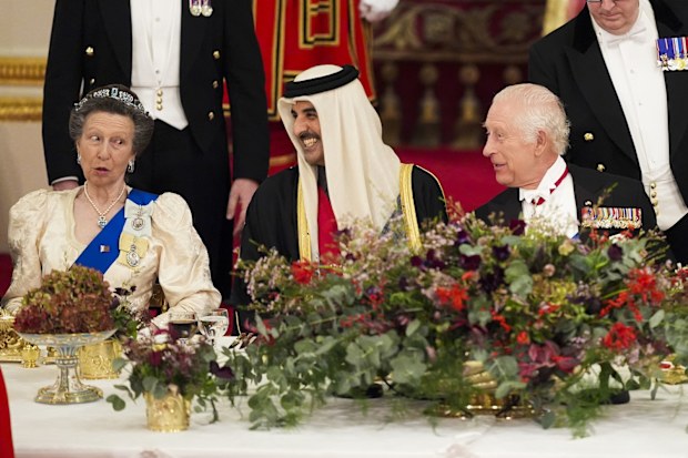 princess anne re-wears 40-year-old dress to qatar state banquet Princess Anne Bridal Gown: Princess Anne Upcycles 40-Year-Old Gown With  Diamond-Encrusted Tiara For State Banquet At Buckingham Palace