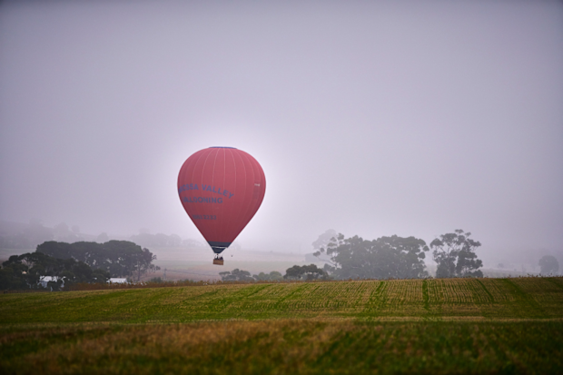 South Australia ballooning in the Barossa Valley