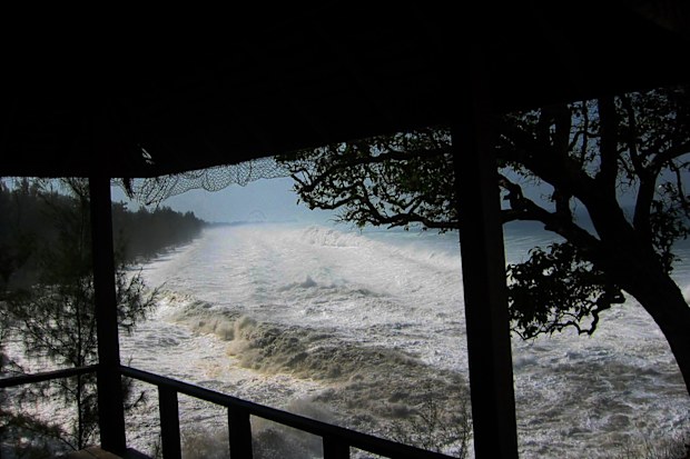 Kimina Lyall worked a demanding job as a Southeast Asian correspondent in Thailand and found an escape on the tiny island of Ko Phra Thong — also known as the Golden Buddha Island.