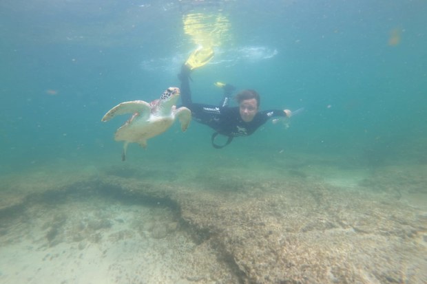 Dr Joanna Day underwater with a green sea turtle.