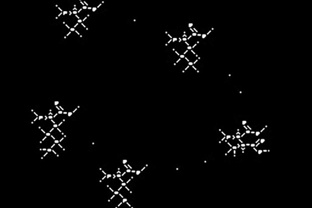 The solution to a 2023 cosmic puzzle, decoded by a father-daughter team, contains an image of five amino acids.