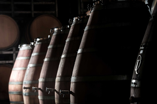 Taylors Wines, Clare Valley