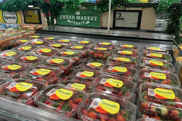 jo abi consumer reporter 9honey supermarket sleuths