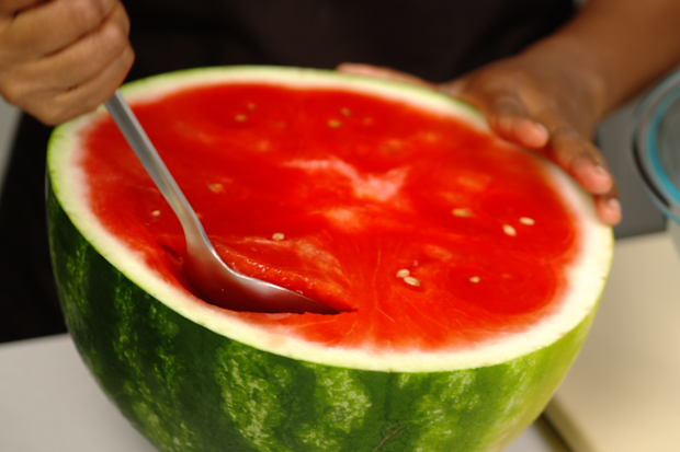 Minoli de Silva watermelon jelly recipe