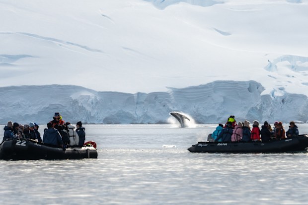 Highlights of AntarcticaShip
MS Fridtjof Nansen