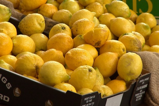The current price of lemons is leaving a sour taste in shoppers' mouths.