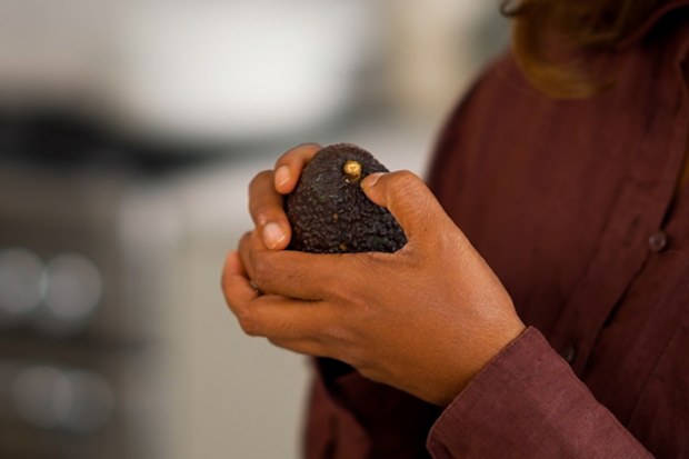 Avocado ripeness testing machines emerge at Tesco in the UK | How to ...