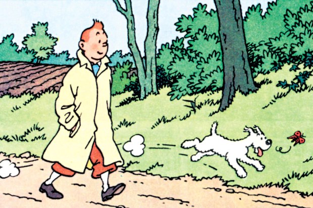 Snowy, a wire fox terrier, was a constant companion of Tintin