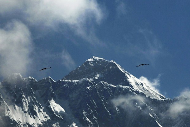 Birds glie in the Himalayas as Mount Everest is seen from Namche Bajar, Solukhumbu district, in Nepal.