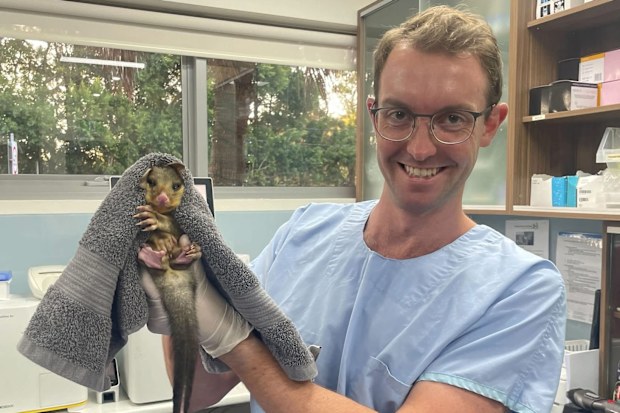 Dr Ben Mills Sydney Animal Hospital