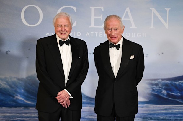 King Charles III, David Attenborough 