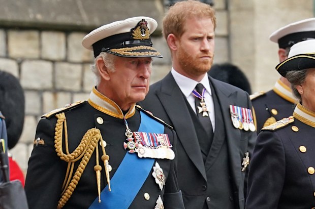 king charles and prince harry