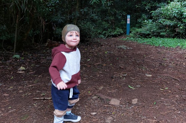 Lauren and Lachlan Van Dalen never expected a 'random infection' during pregnancy would leave their son Ezra deaf.
