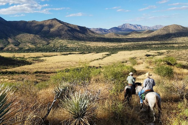 The southern Arizona landscape is a mix of mountains and desert plans- and lots of cacti. 