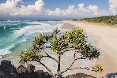 Domestic: Ballina