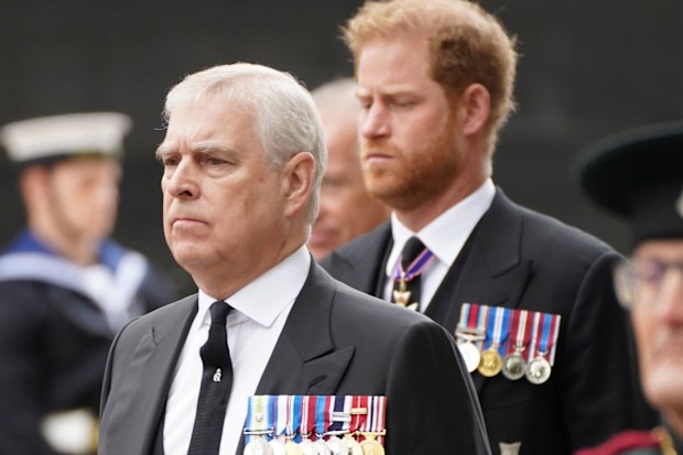 Prince Andrew, Duke of York and Prince Harry, Duke of Sussex in the state funeral of Queen Elizabeth II at Westminster Abbey on September 19, 2022.