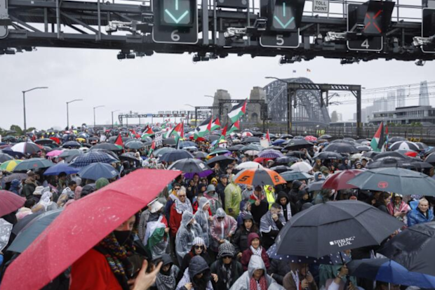 Pro-Palestinian protesters march across the Sydney Harbour Bridge to call for an end to Israel's war in Gaza. August 3, 2025.  