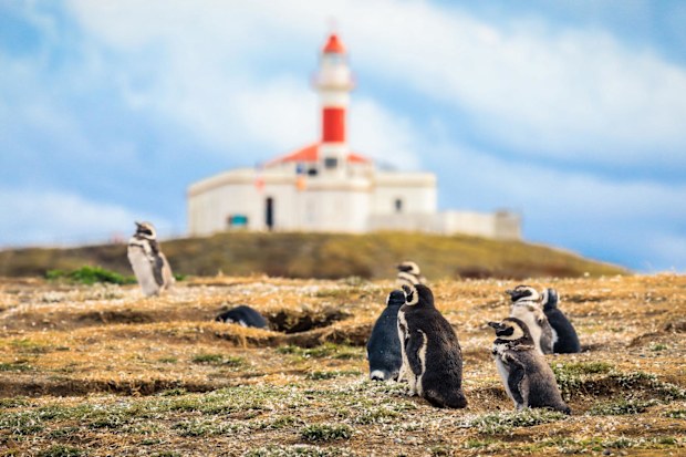 Isla Magdalena