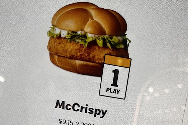 mcdonalds new mccrispy