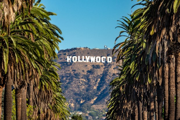 19 october 2018 - Los Angeles, California. USA: Hollywood Sign between Palm trees from central Los Angeles