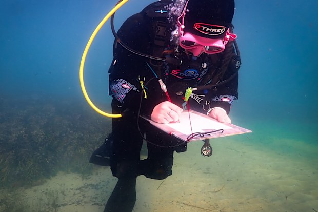 Heather Berry condition reports the wreck of South
Australian.