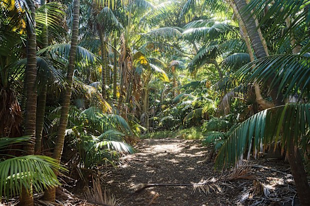Why only 400 people at a time can visit lord howe island in australia