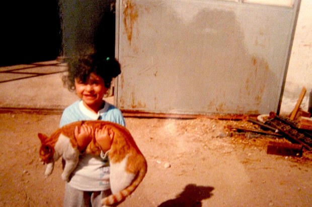Stray Cat