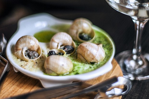 Escargot