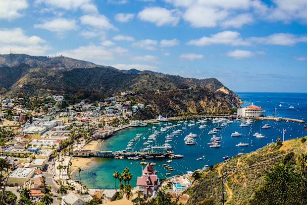 California island paradise. An ideal day captured on the Southern California island getaway - Catalina.
