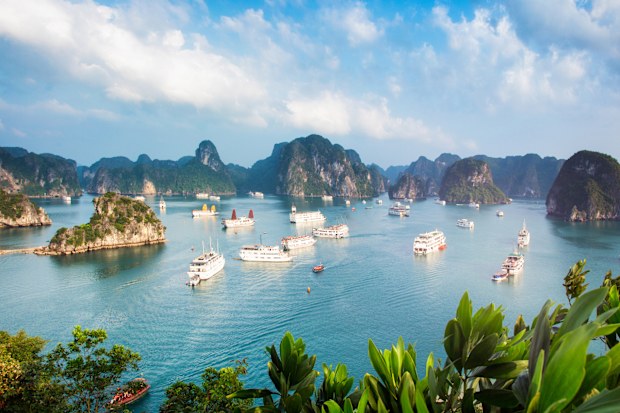 Halong Bay Vietnam panorama at sunset with anchored tourist ships photographed from the top of a cliff.