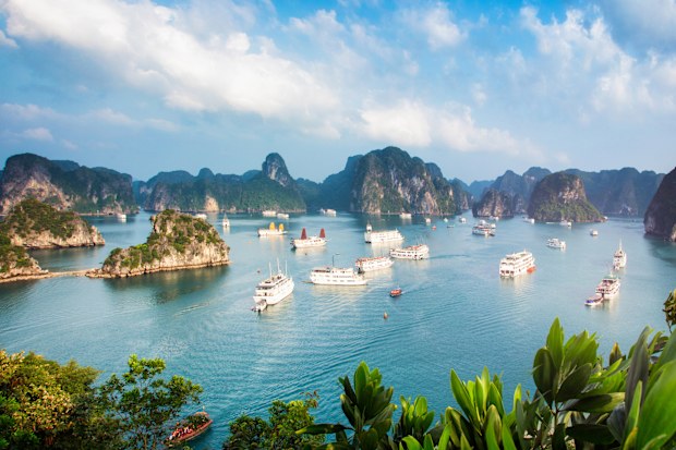 Halong Bay Vietnam panorama at sunset with anchored tourist ships photographed from the top of a cliff.