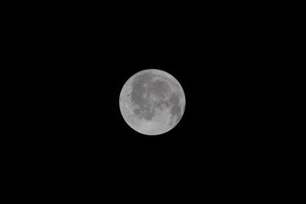 This photo provided by NASA shows the moon seen from the Orion spacecraft Integrity during the Artemis II mission on Friday, April 3, 2026. (NASA via AP)