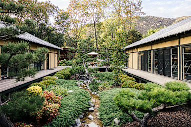 A seven-day holistic wellness retreat 