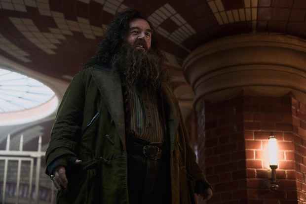 HBO Original series Harry Potter and the Philosopher's Stone first look Nick Frost as Hagrid 