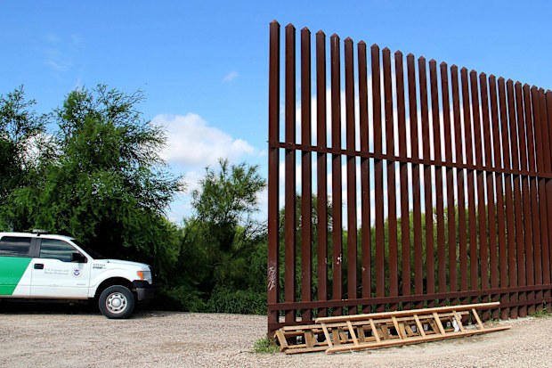 Scott Nicol Texas Border Wall cheap wooden ladders