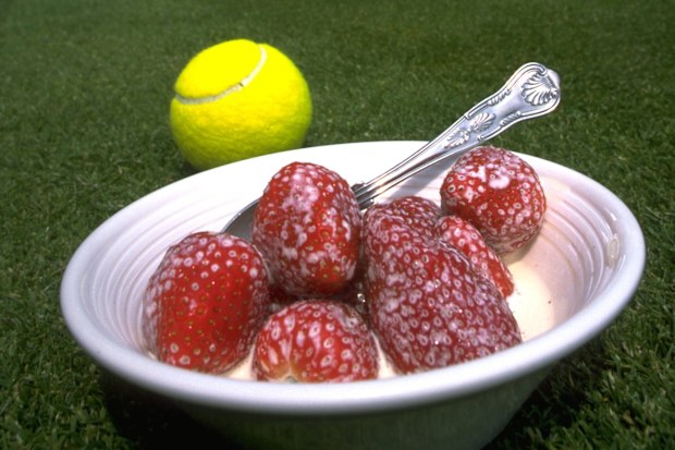Wimbledon Strawberries and Cream