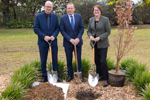 The tree Tony Abbott planted at a memorial garden dedicated to former prime ministers has been vandalised for the second time as the local council looks to heighten security.