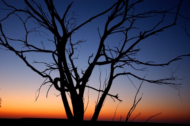 Business confidence in the Northern Territory economy has plummeted. (AAP)