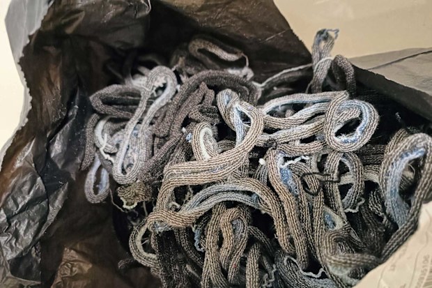 A bunch of rags were randomly delivered to one Sydney woman, making her fear they were a biohazard. 
