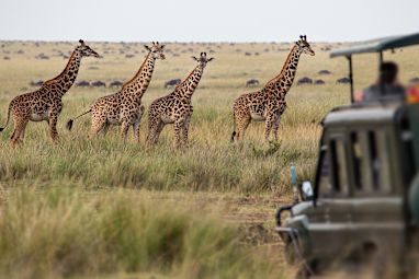 7. Tanzania