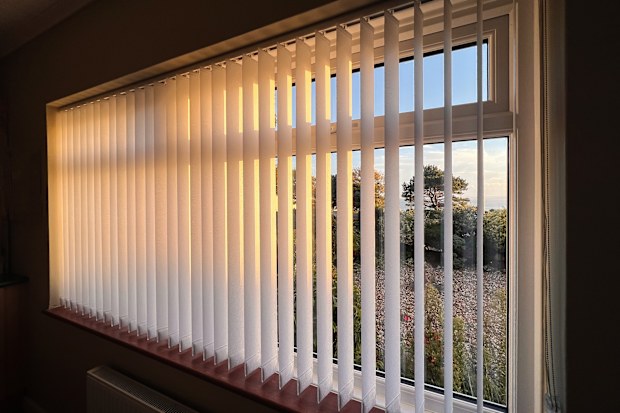 Vertical blinds with a golden glow as the sun sets.There is a tree and a view of the sea through the window.