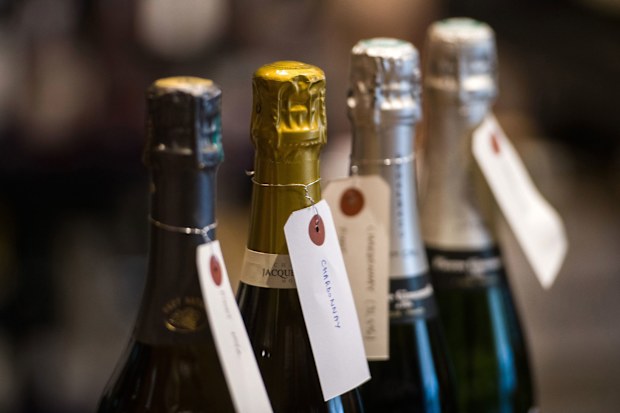 Champagne sales CNN photo
