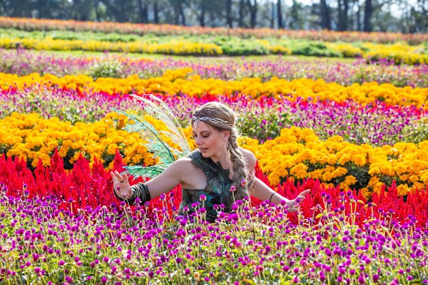 Kabloom Flower Festival